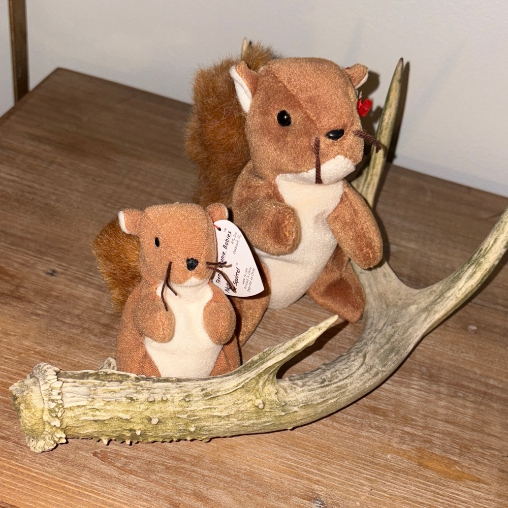 Rare Nuts and Mini Nuts Beanie Babies Brown and Cream Squirrel Plush Duo